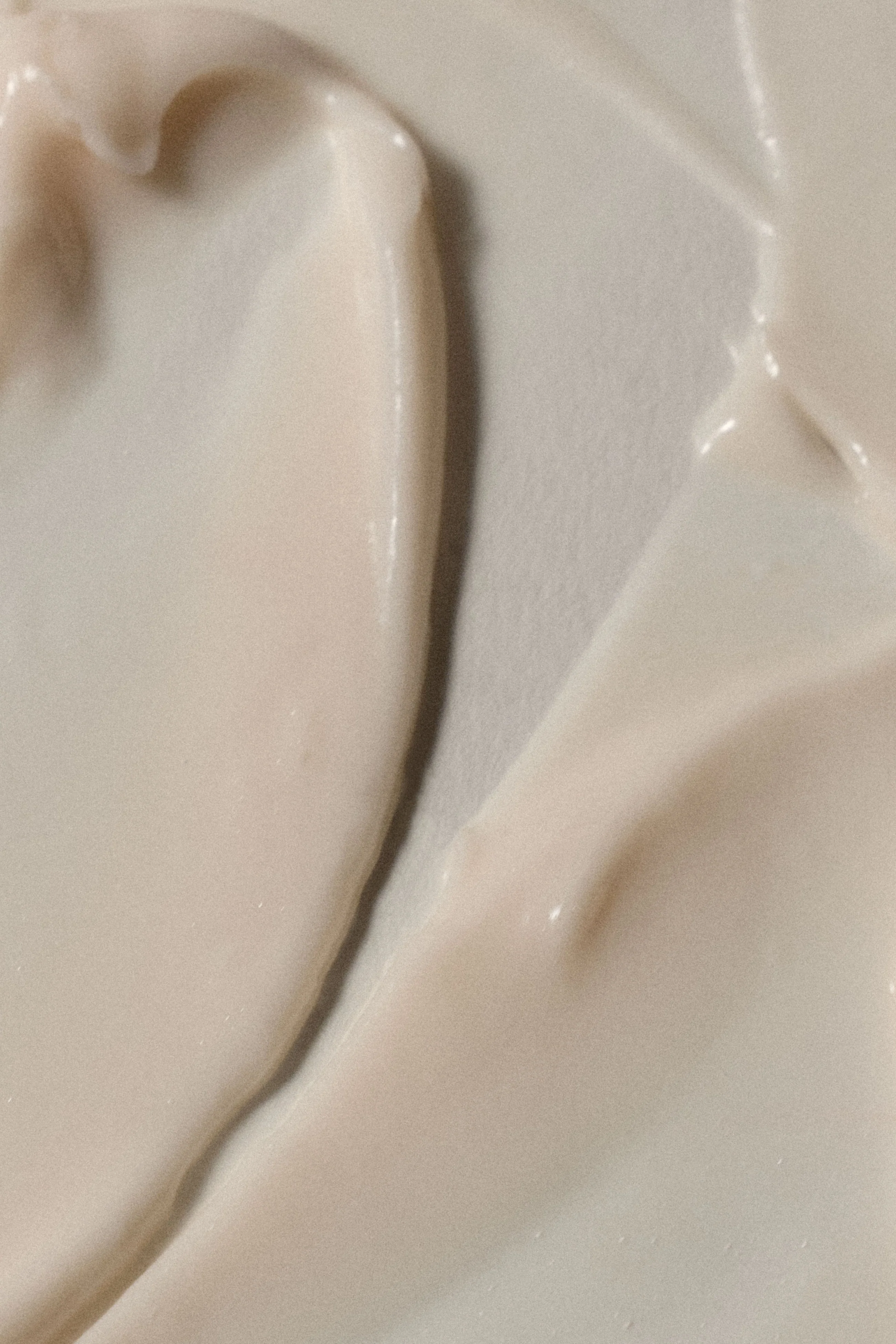 The Foundation Shampoo / Conditioner Duo - Image 5